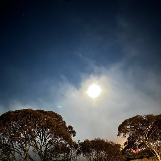 Embrace Your Radiance: A Guide to the Leo Full Moon of February 2025